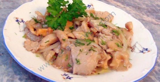 Маринованные вешенки