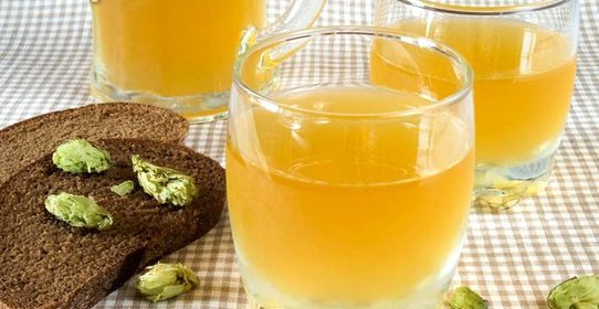 Домашний хлебный квас с шишками хмеля