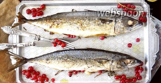 Запечённая скумбрия с красной смородиной
