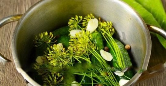 Огурчики малосольные