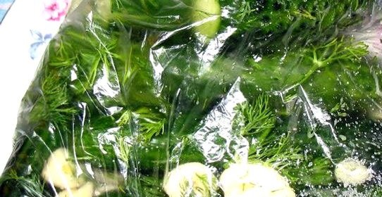 Малосольные огурцы в пакете в собственном соку