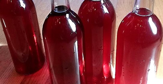 Вино из черноплодки в домашних условиях