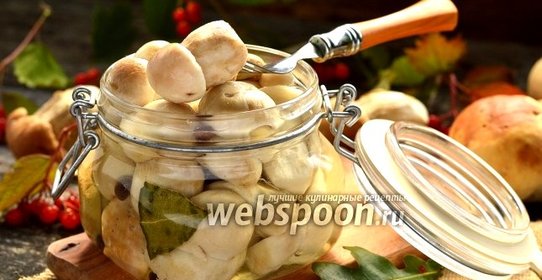 Белые маринованные грибы
