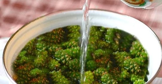 Варенье из сосны