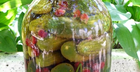 Огурцы маринованные с базиликом и йоштой