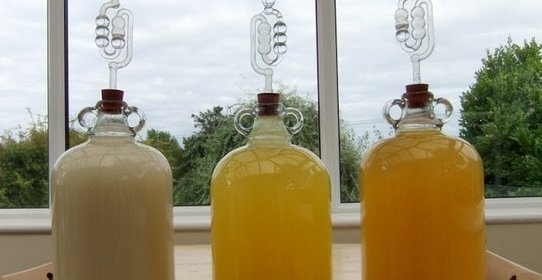 Вино из дыни