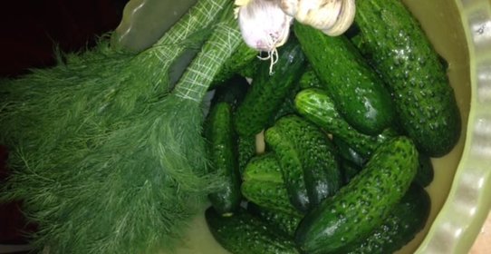 Малосольные огурцы быстрые