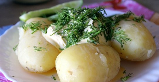 Молодой картофель со сметаной и зеленью