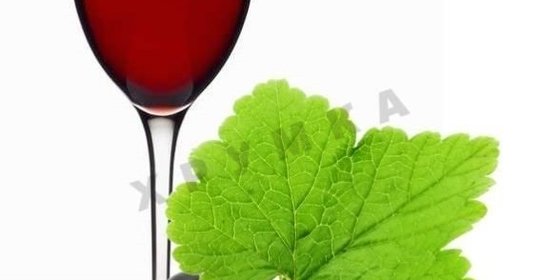 Домашнее вино из черной смородины
