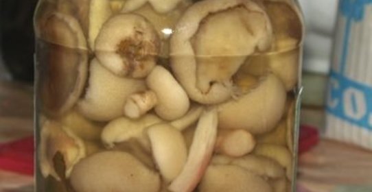 Маслята маринованные