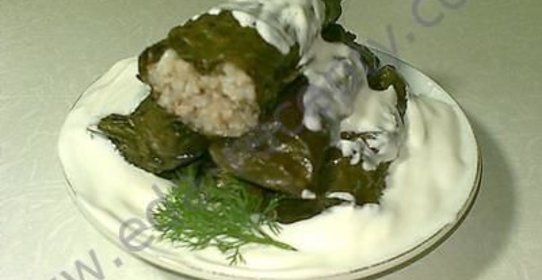 Голубцы в виноградных листьях