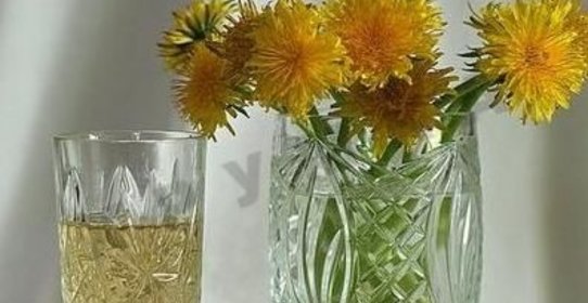 Вино из одуванчиков