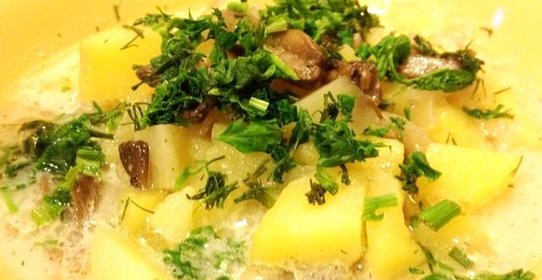 Картошка тушеная с грибами и сметаной