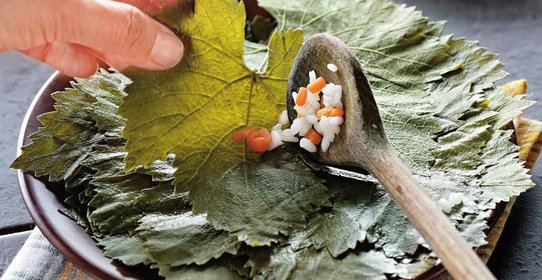 Виноградные листья