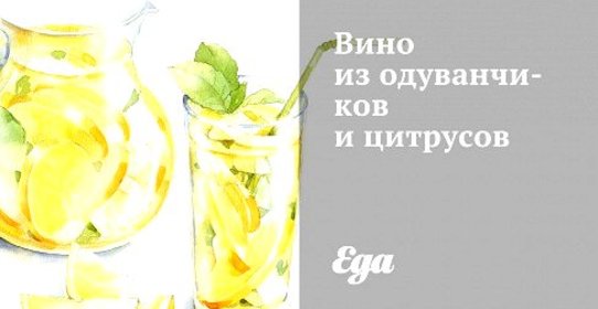 Вино из одуванчиков и цитрусов