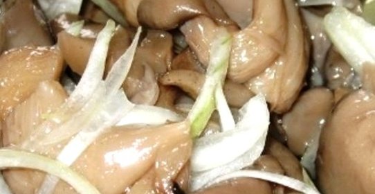 Маринованные вешенки быстрого приготовления