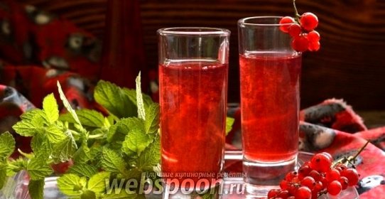 Настойка на красной смородине