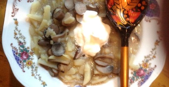 Солянка грибная
