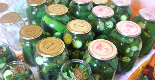 Огурцы маринованные