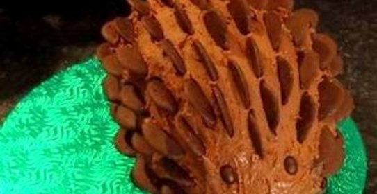 Торт Ежик без выпечки