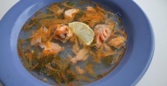 Лимонная уха из семги