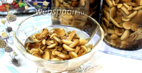 Опята в сладком маринаде