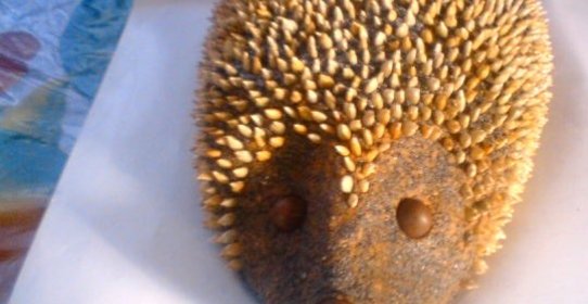 Торт Ежик без выпекания