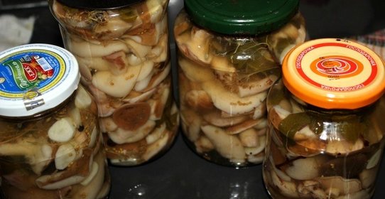 Маринованные маслята в масле