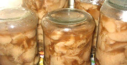 Маринованные маслята быстро