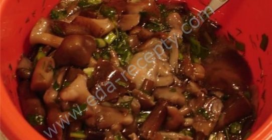 Засолка опят