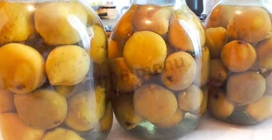 Груши консервированные целиком в сиропе на зиму