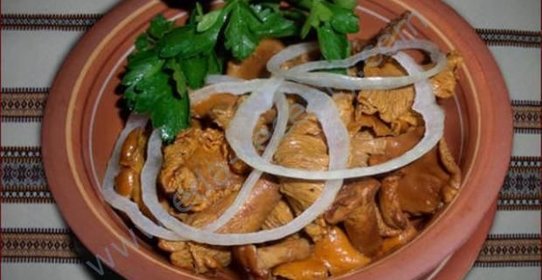 Лисички маринованные