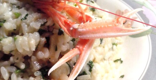 Ризотто с морскими гадами