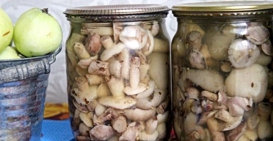 Маринованные маслята