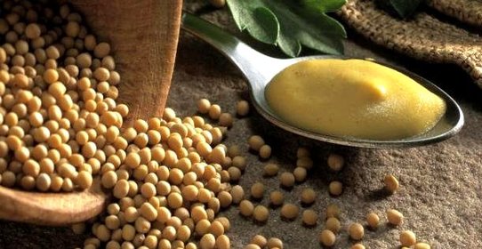 Дижонская горчица