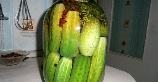 огурцы маринованные с красной смородиной