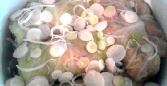 Овощные голубцы