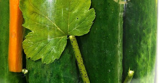 Маринованные огурцы