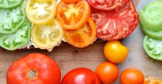 Брускетта с помидорами и творожной намазкой из базилика