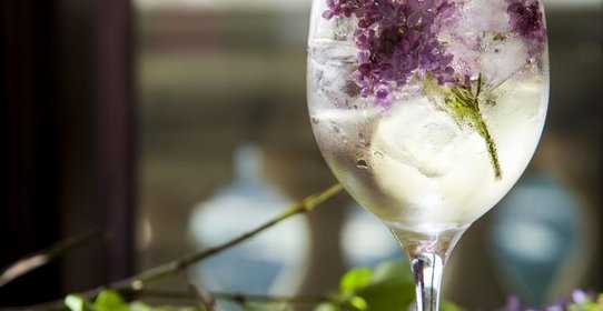 Сиреневая сангрия от шеф-бармена Артема Аверина