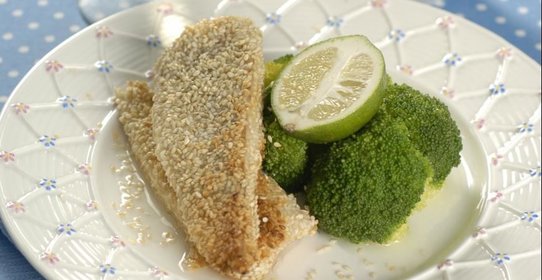 Жаренный в кунжуте сибас с брокколи