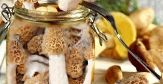 Маринованный сморчок