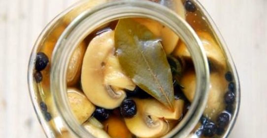 Засолка шампиньонов холодным способом