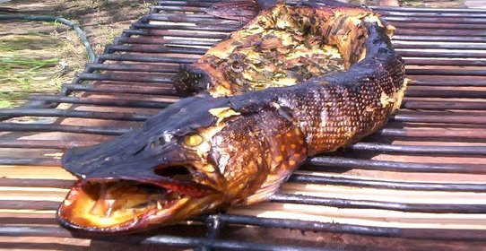 Щука копченая