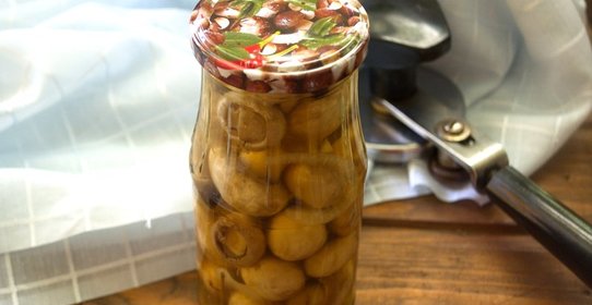 Маринованные грибы на зиму