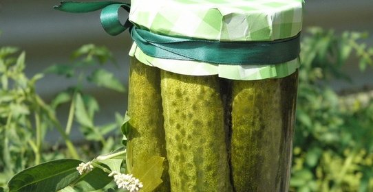 Малосольные огурчики на зиму