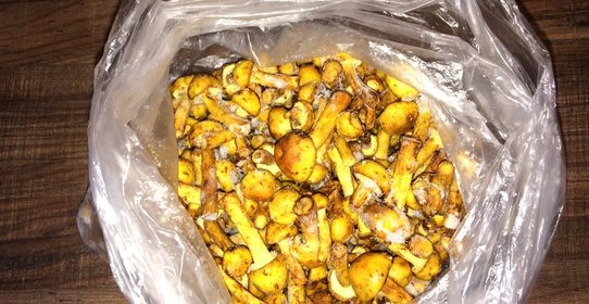 Замороженные опята на зиму