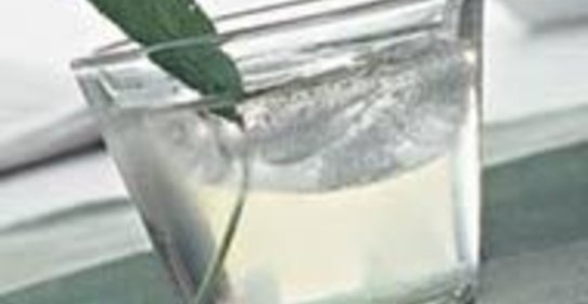 Настойка Ерофеич