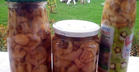 Маринованные маслята жареные