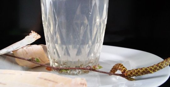 Лимонад из берёзового сока